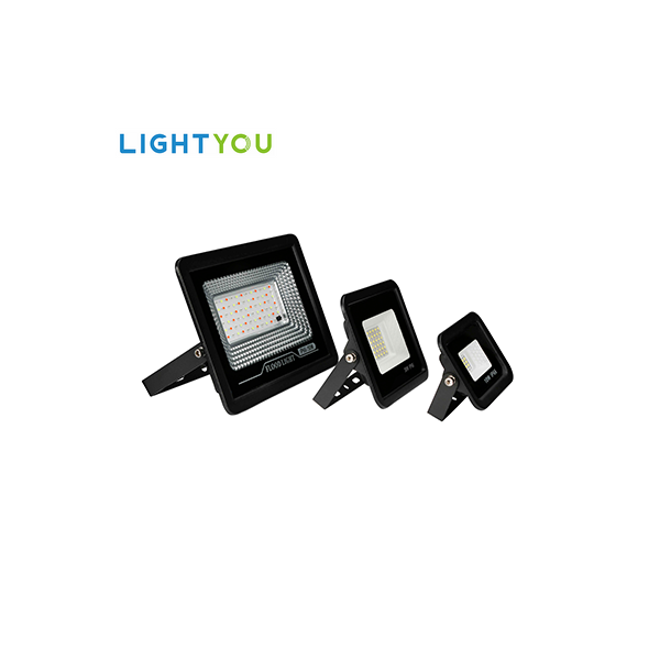 Smart Flood Lighting